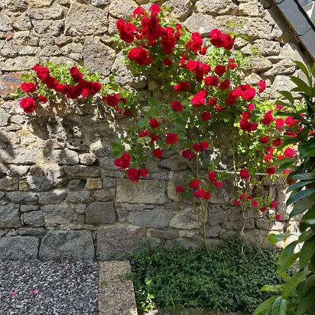 Apartamento F3-anémone La Bourboule