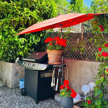 F3-anémone La Bourboule