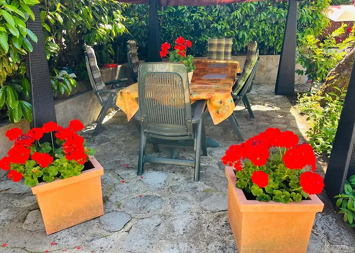 Apartment F3-anemone *