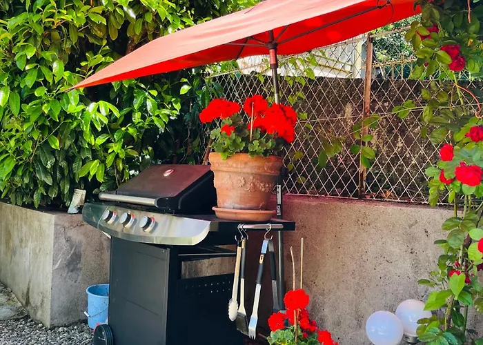 F3-anemone La Bourboule